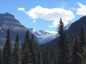 On Its 100th Anniversary, National Park Service Turns to Solar